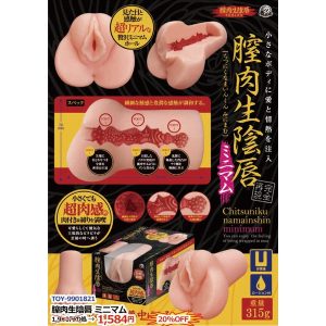 87-TOY-9901821