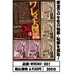 87-WREMX-001