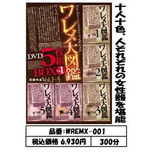 88-WREMX-001